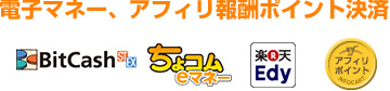 電子マネー、アフィリ報酬ポイント決済